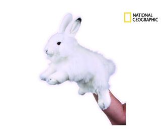 Obrázek z National Geographic maňásek Králík 